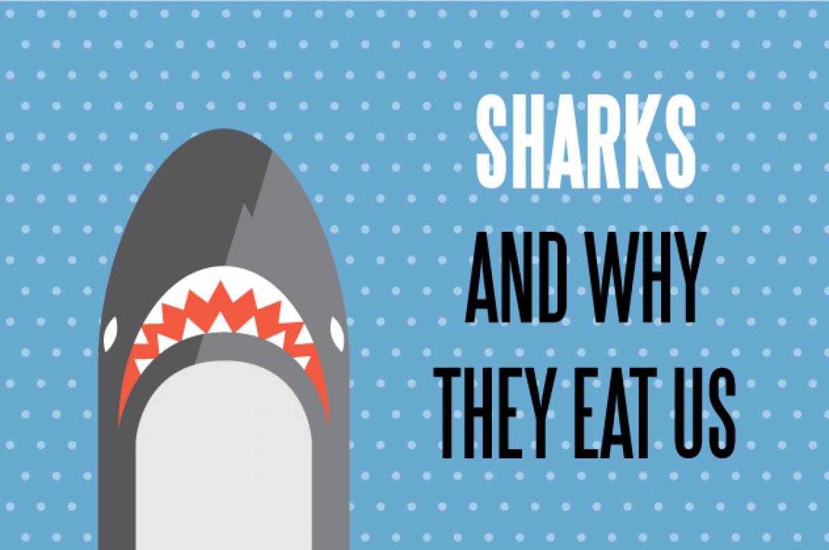 Stab Magazine | Sharks (and why they eat us)
